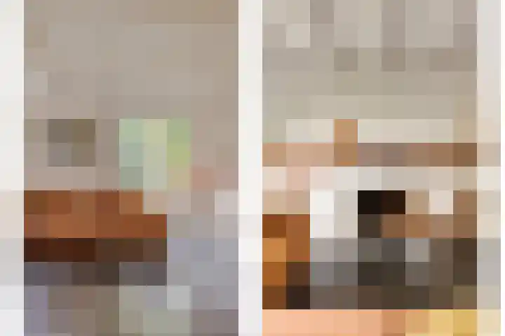 Scheggertdijk 39 Almen thumbnail 7