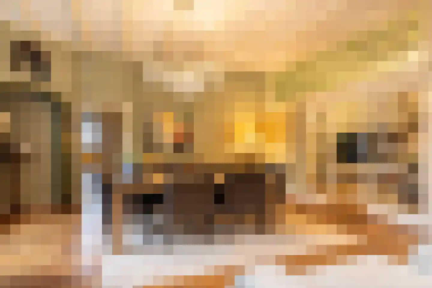 Scheggertdijk 47 Almen thumbnail 12