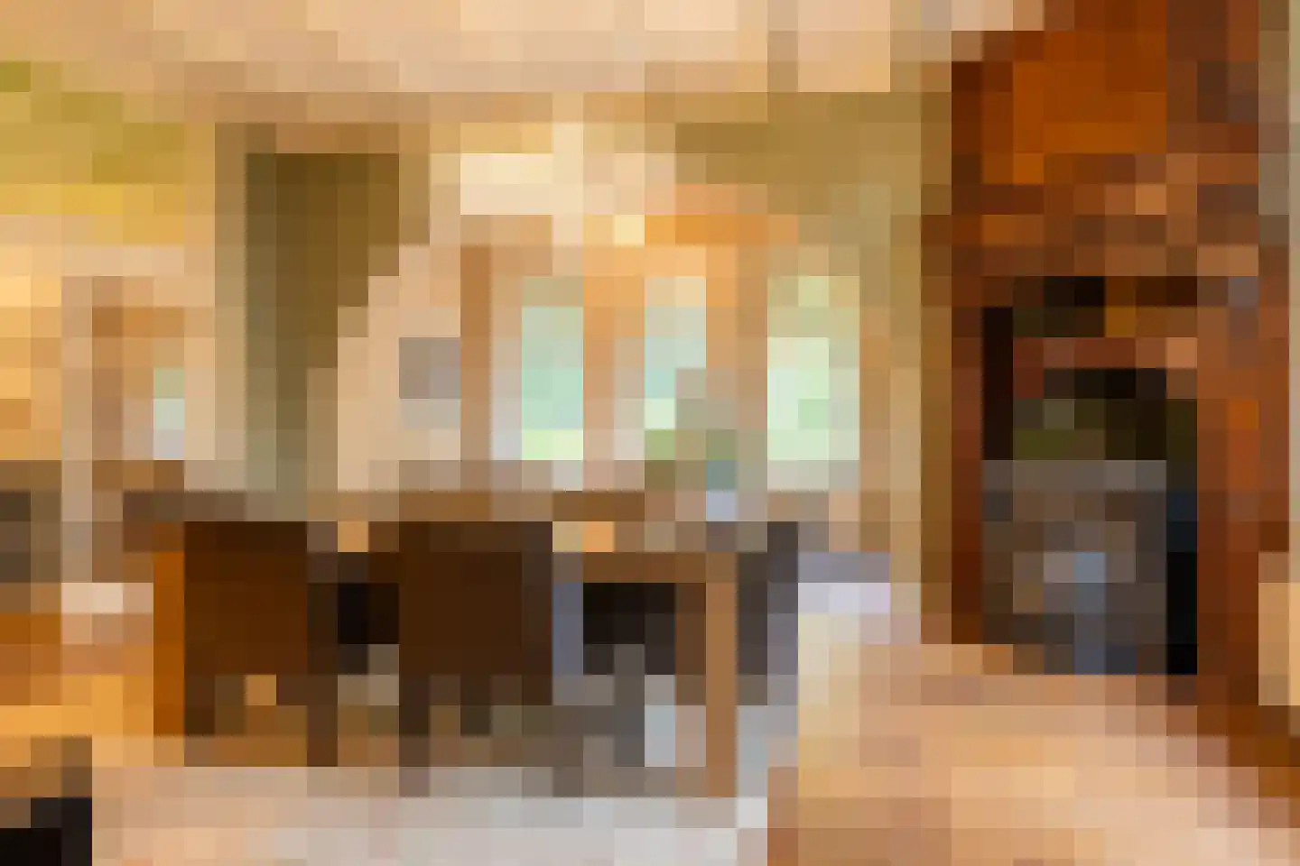Scheggertdijk 47 Almen thumbnail 14