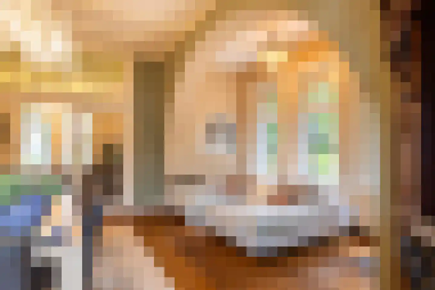 Scheggertdijk 47 Almen thumbnail 15