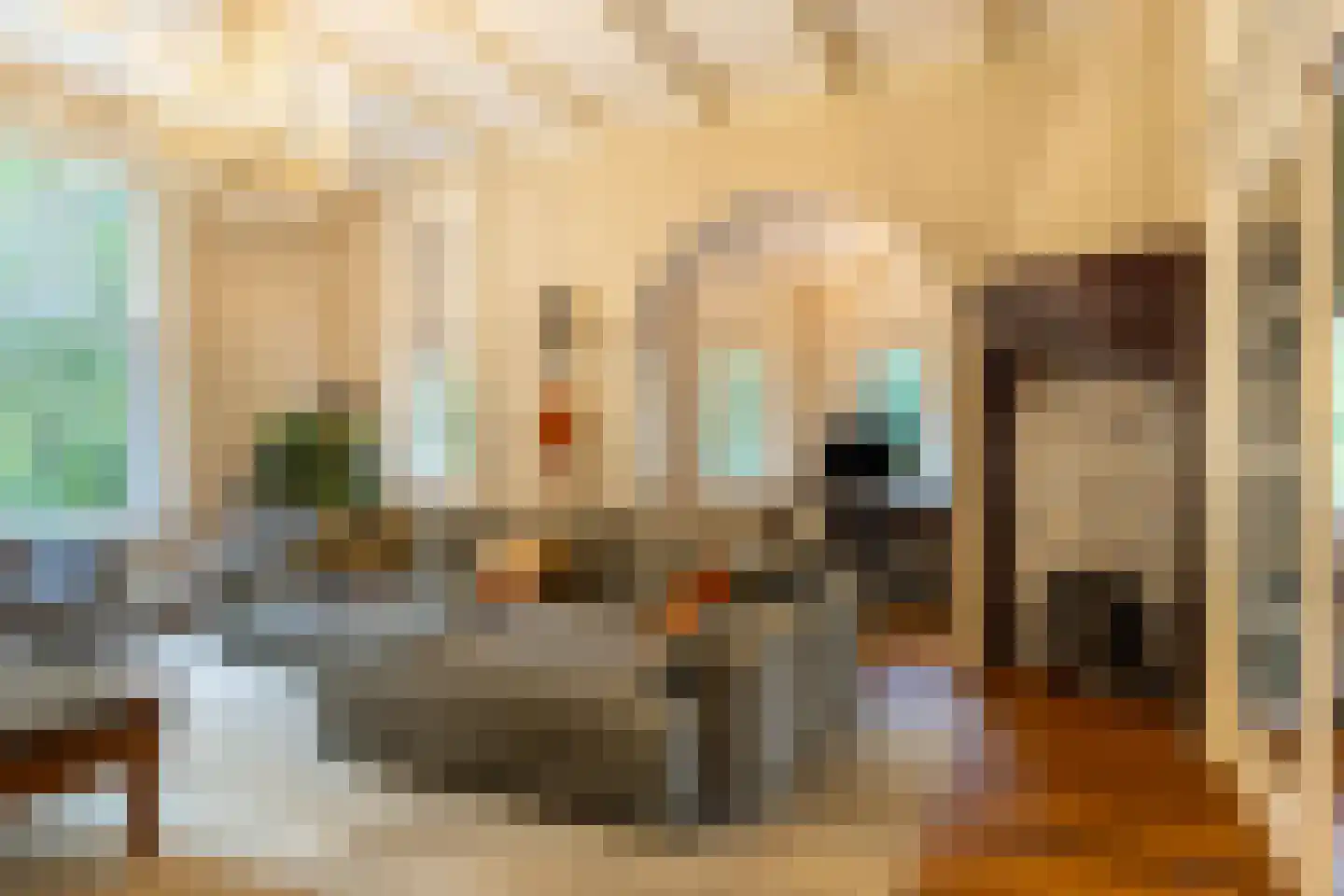 Scheggertdijk 47 Almen thumbnail 18