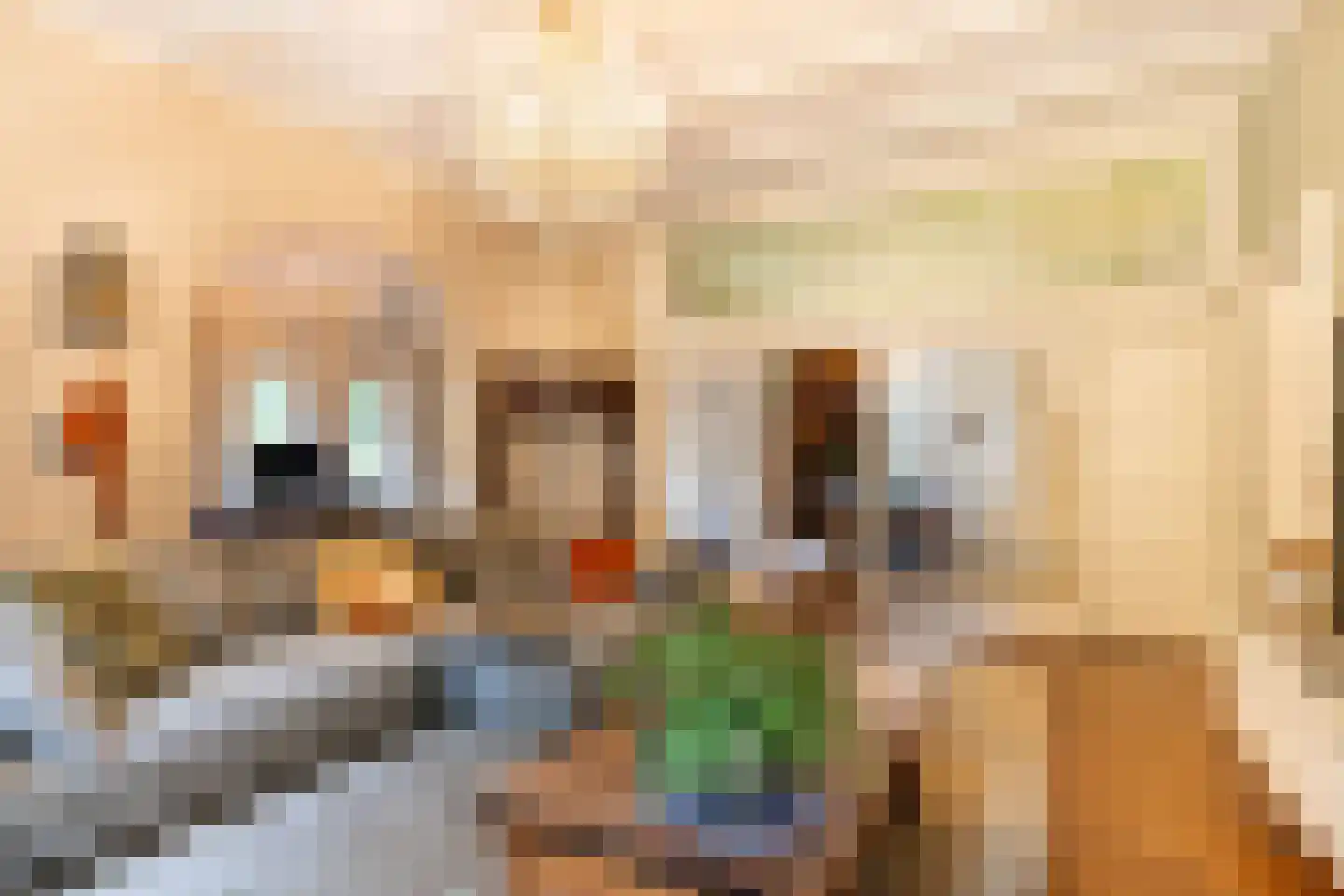 Scheggertdijk 47 Almen thumbnail 20