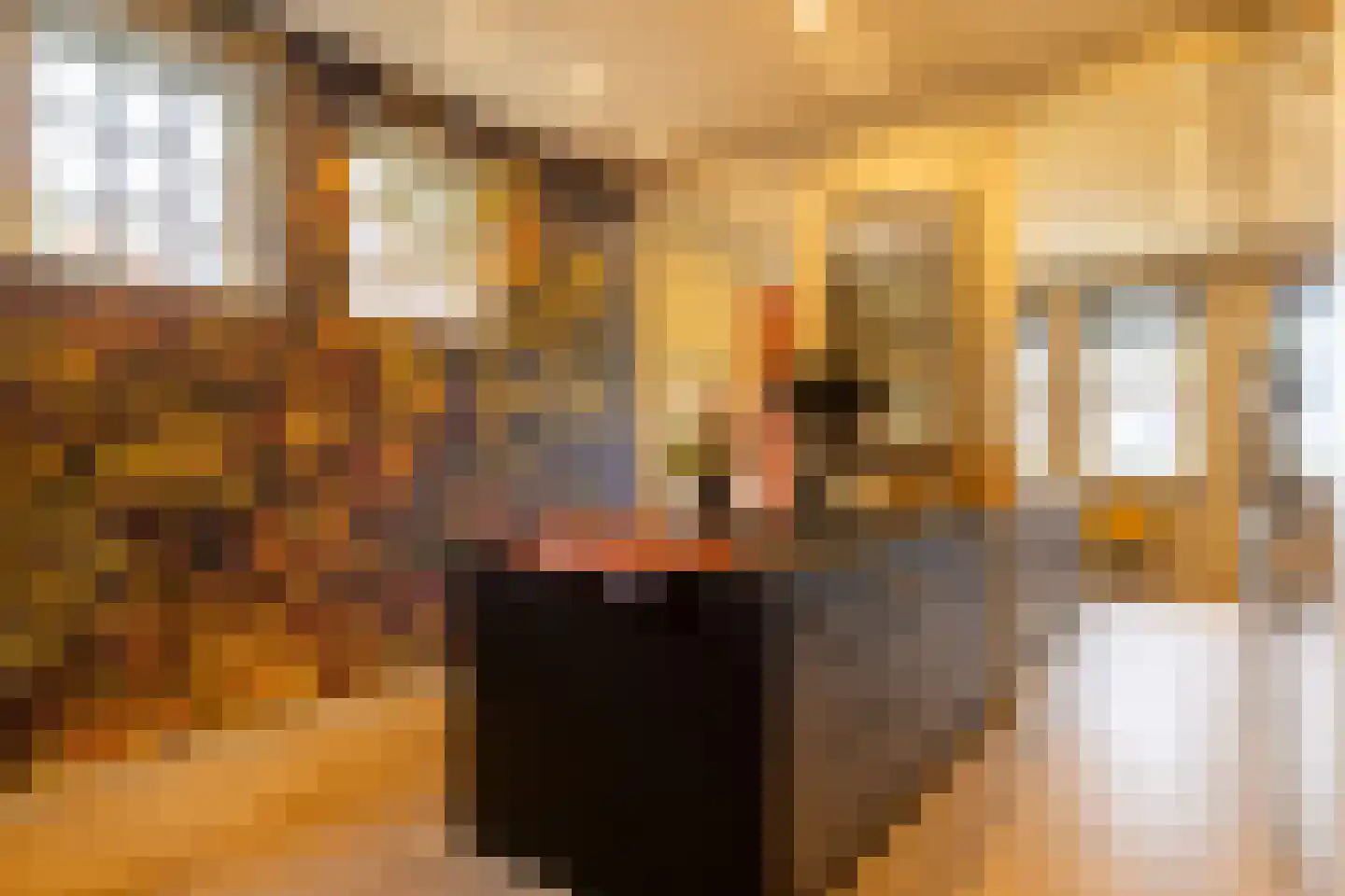 Scheggertdijk 47 Almen thumbnail 22