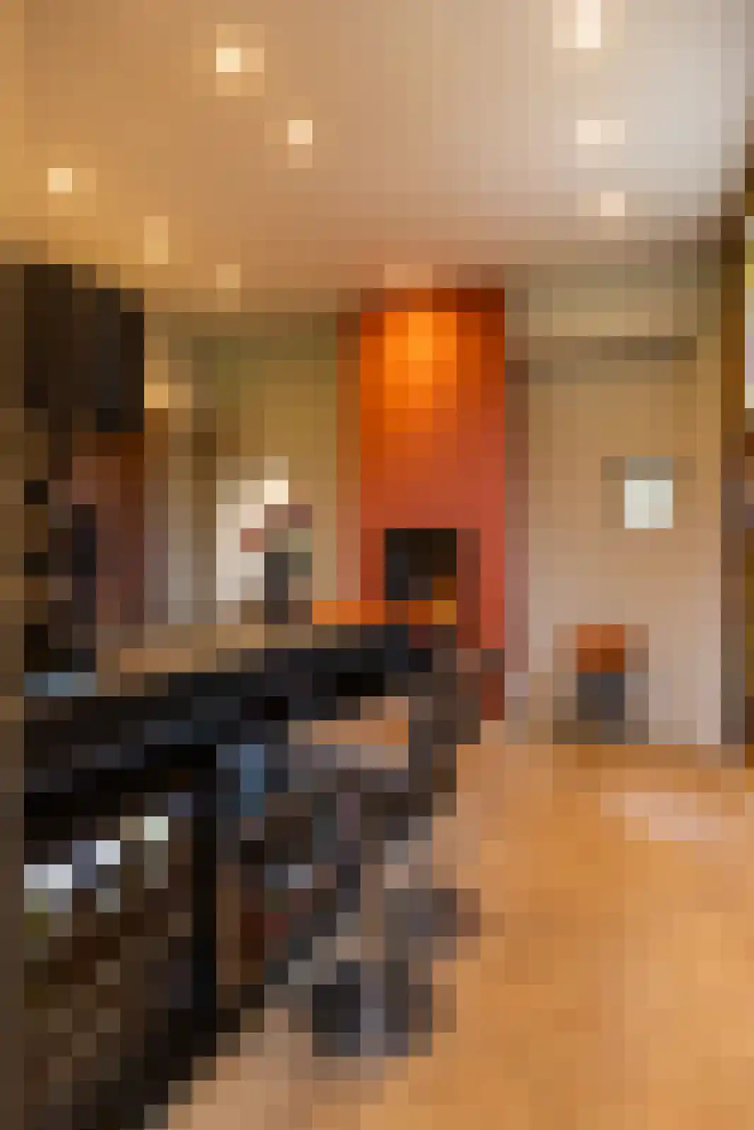 Scheggertdijk 47 Almen thumbnail 28