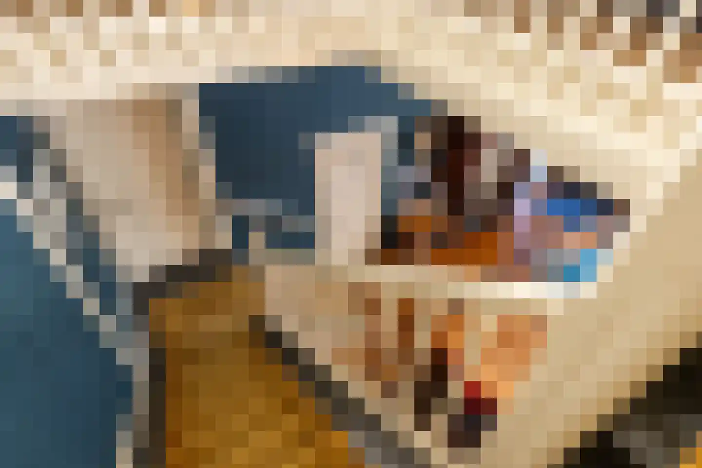 Scheggertdijk 47 Almen thumbnail 32