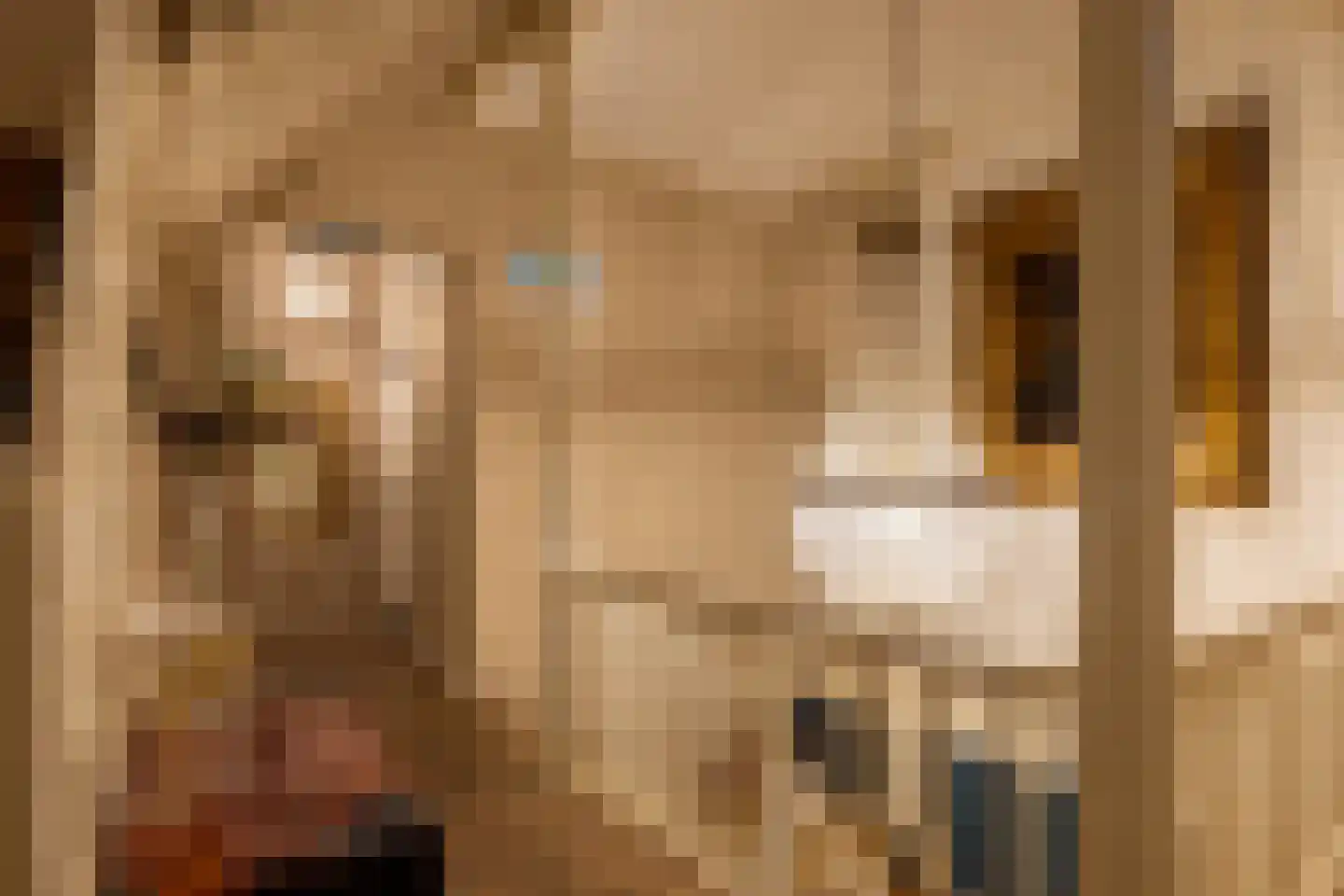 Scheggertdijk 47 Almen thumbnail 33