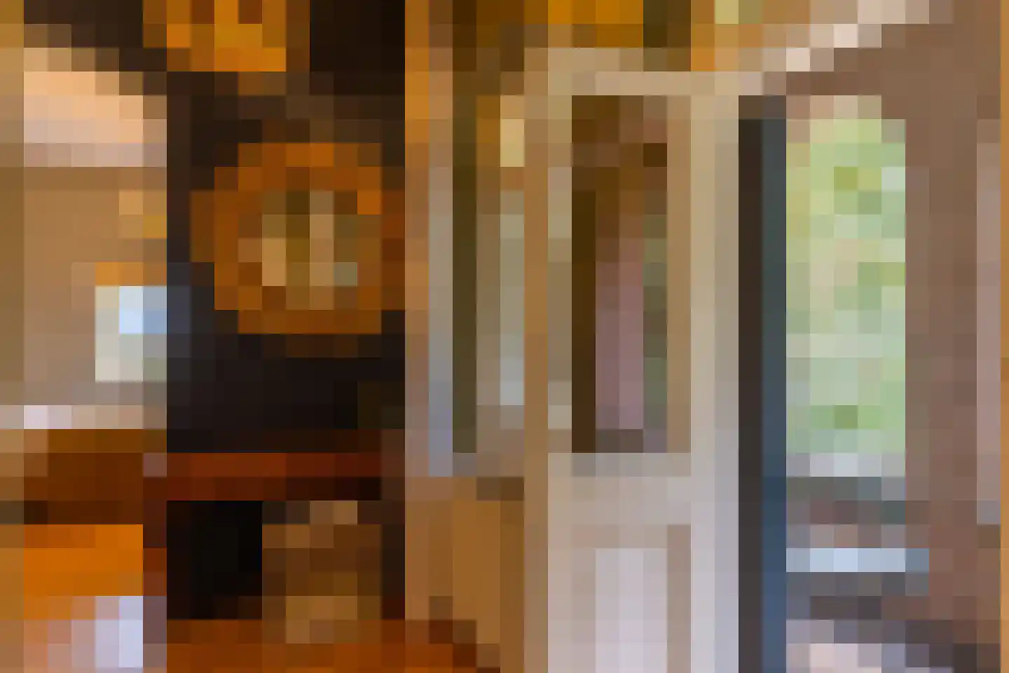Scheggertdijk 47 Almen thumbnail 36