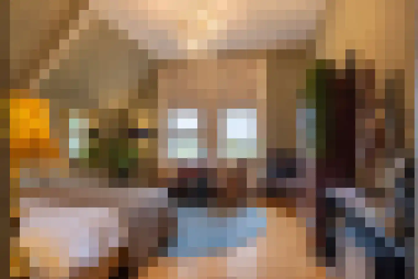 Scheggertdijk 47 Almen thumbnail 41