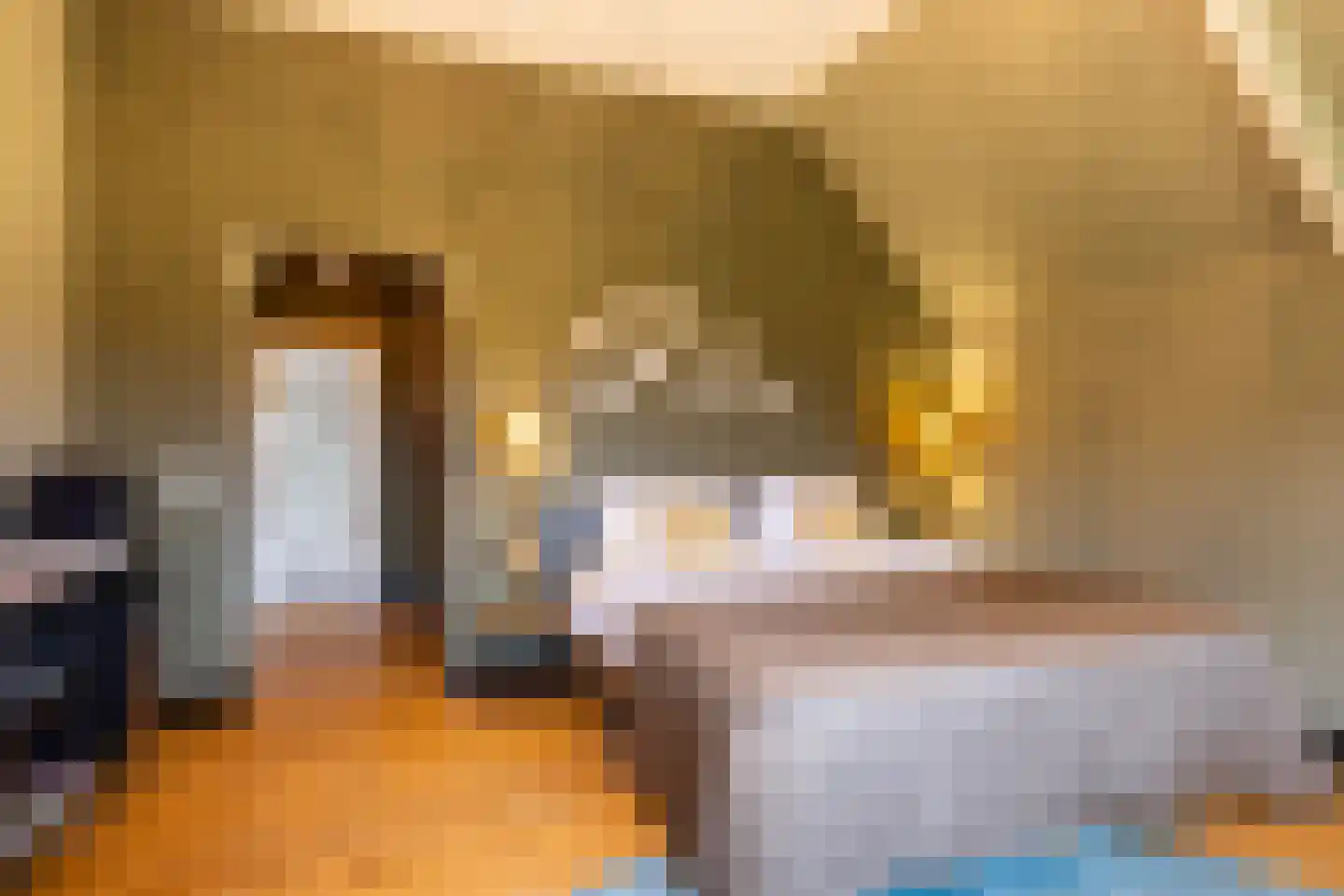 Scheggertdijk 47 Almen thumbnail 42