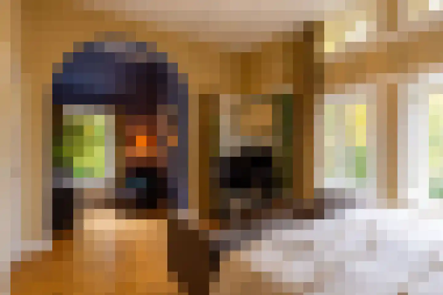 Scheggertdijk 47 Almen thumbnail 48