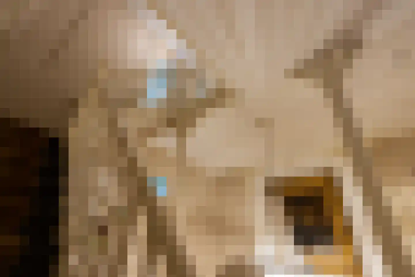 Scheggertdijk 47 Almen thumbnail 53