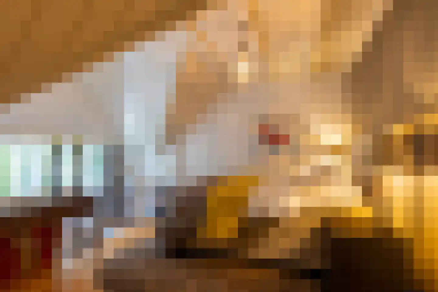 Scheggertdijk 47 Almen thumbnail 55