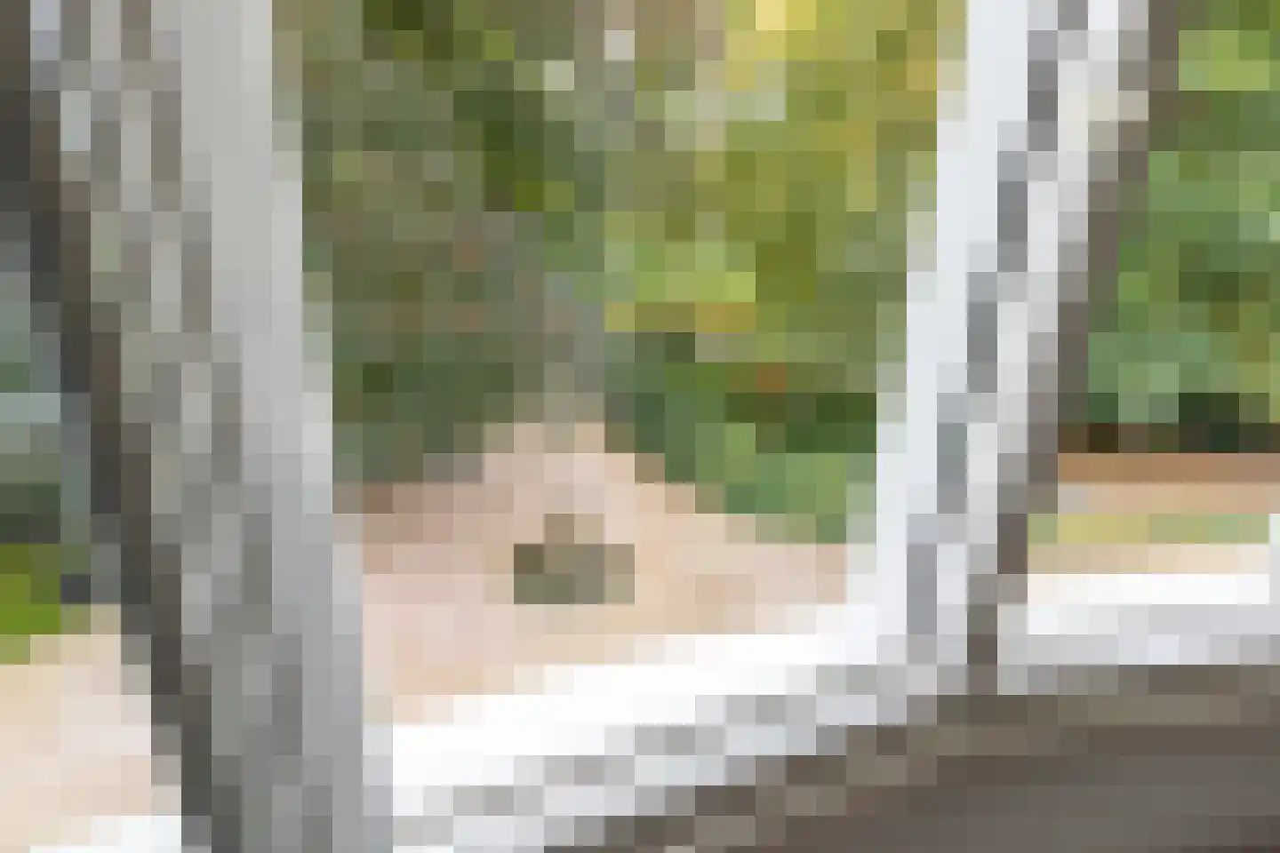 Scheggertdijk 47 Almen thumbnail 57