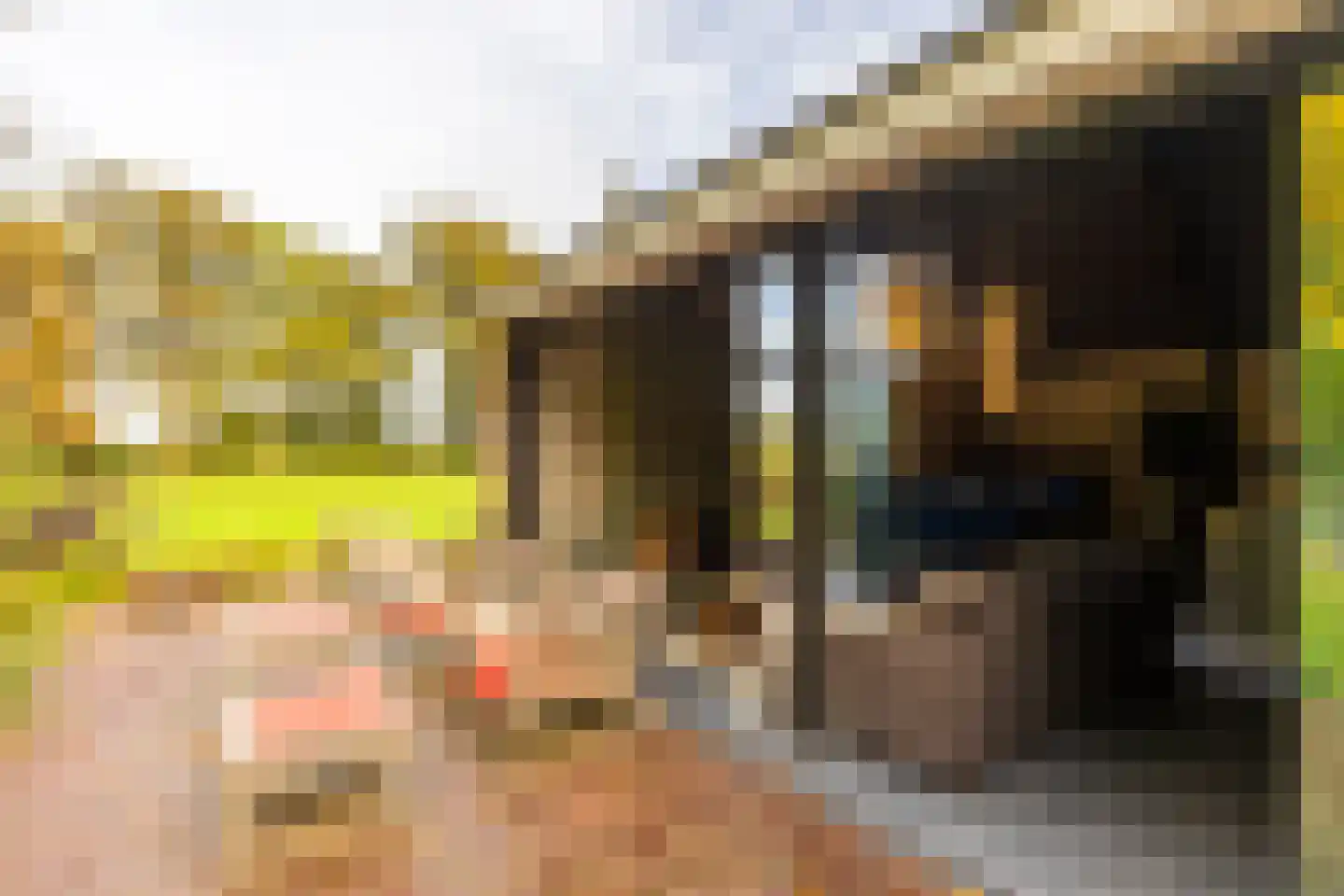 Scheggertdijk 47 Almen thumbnail 61