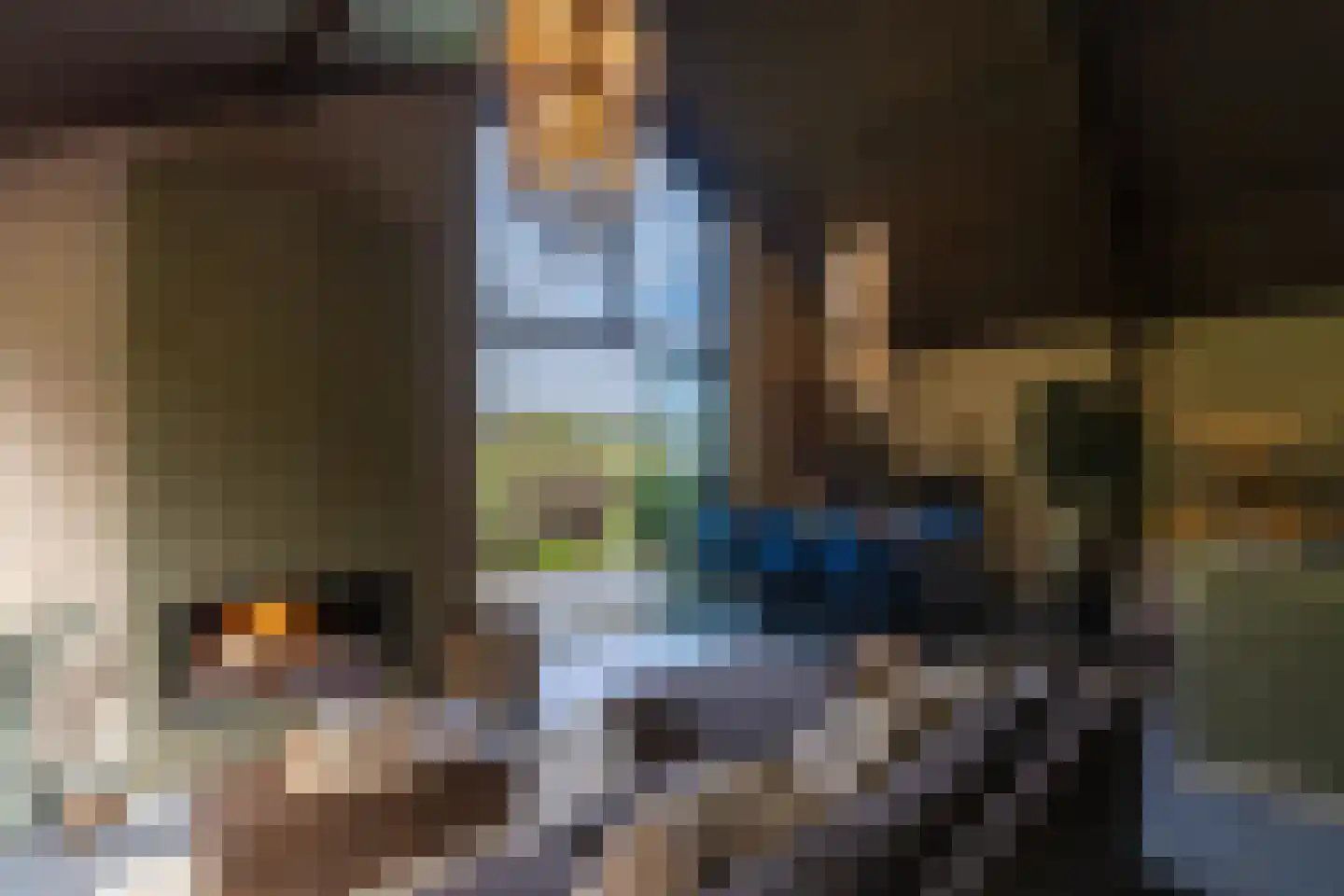 Scheggertdijk 47 Almen thumbnail 62