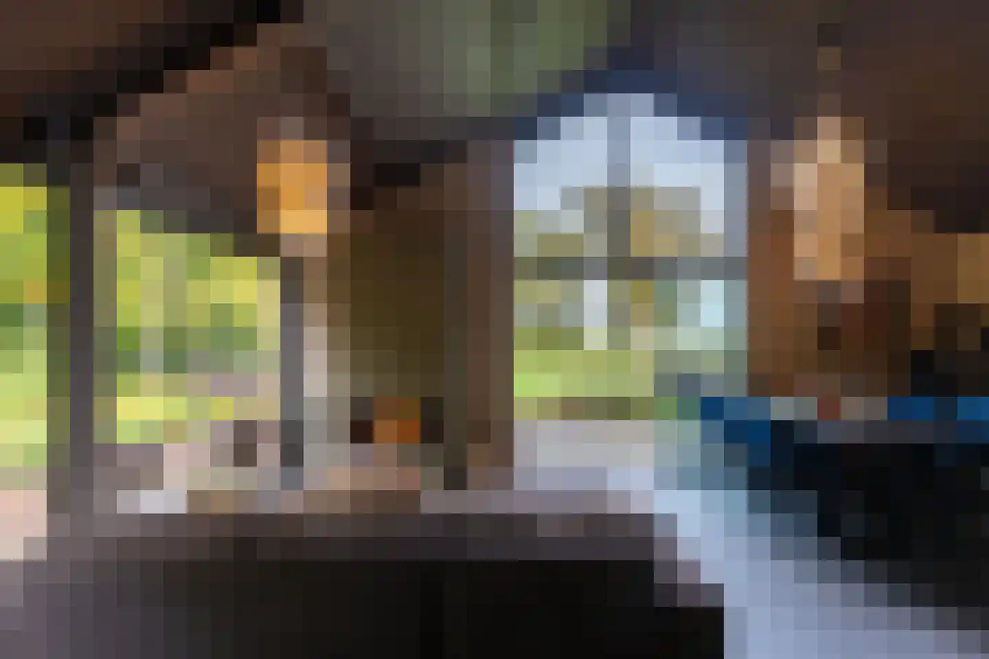 Scheggertdijk 47 Almen thumbnail 63