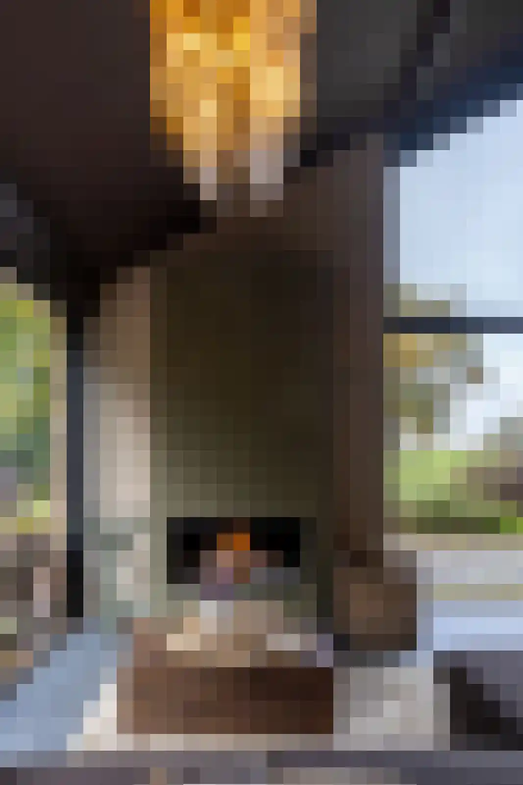 Scheggertdijk 47 Almen thumbnail 64