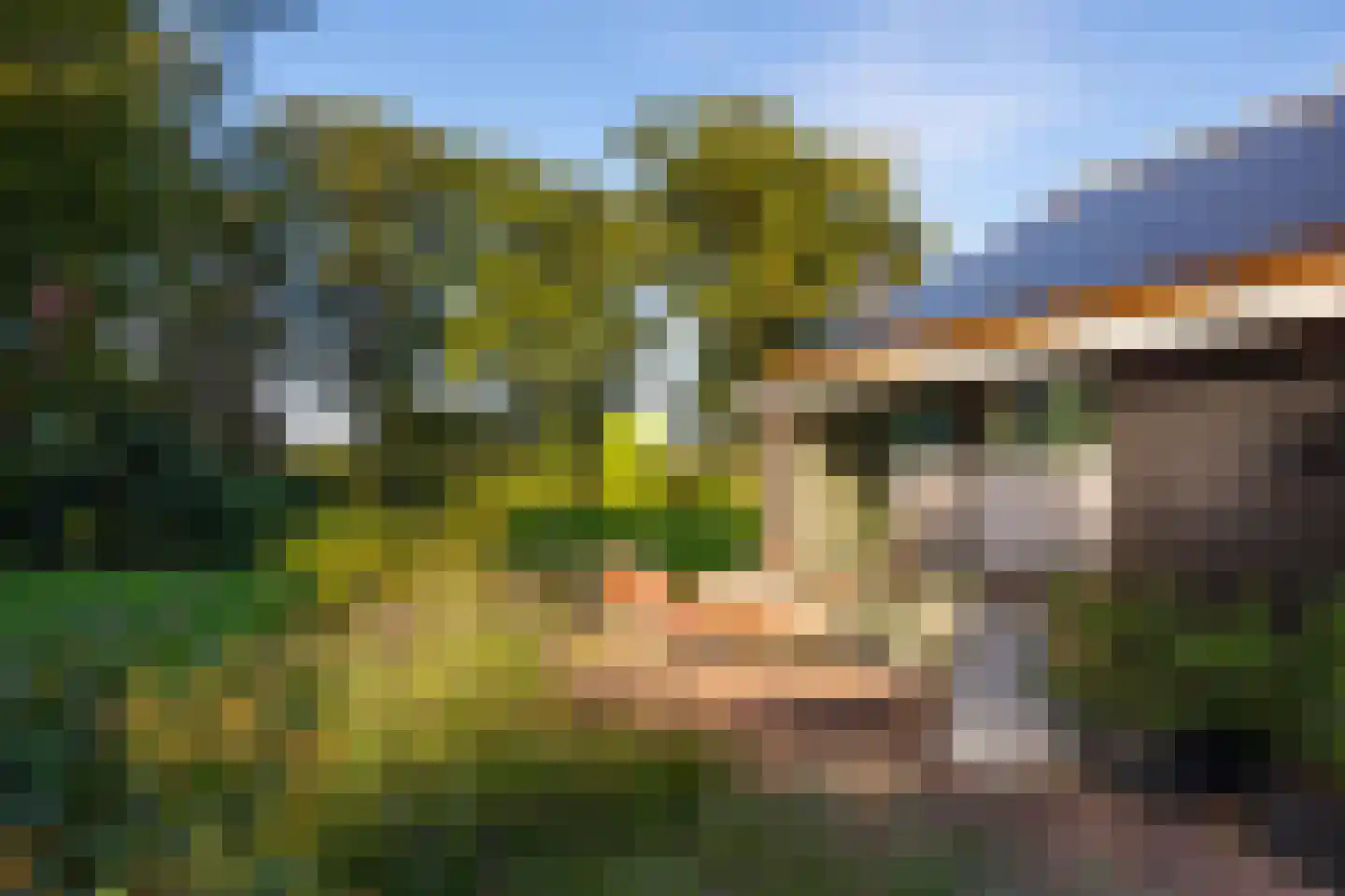 Scheggertdijk 47 Almen thumbnail 68