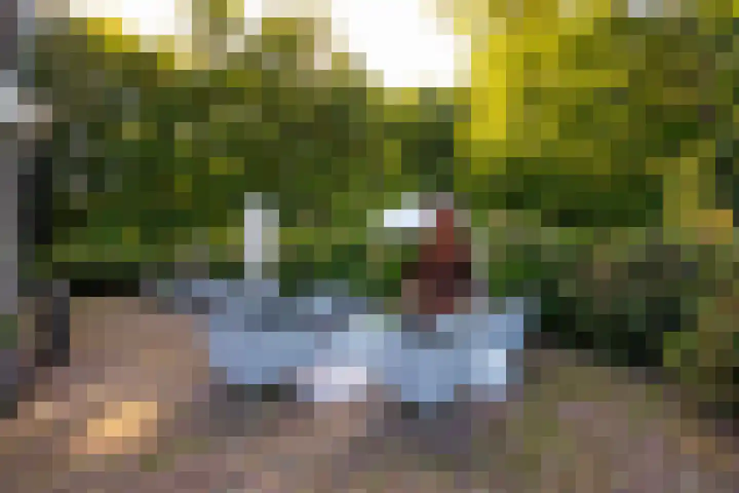 Scheggertdijk 47 Almen thumbnail 69