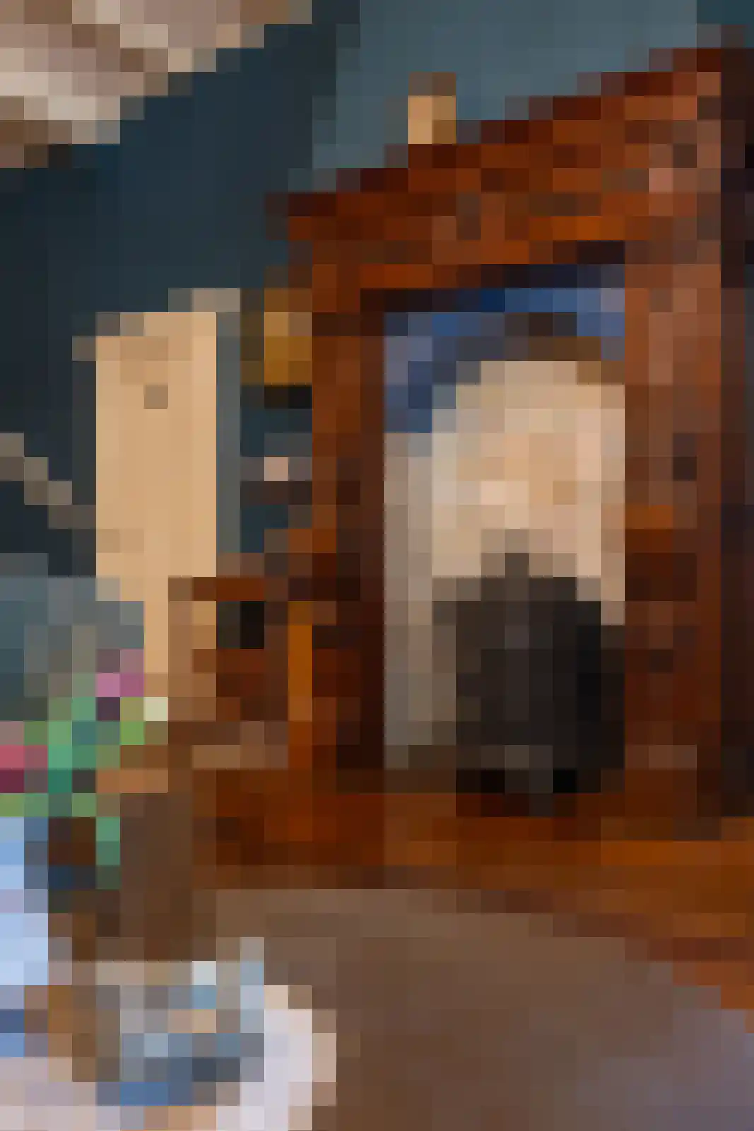 Scheggertdijk 47 Almen thumbnail 7