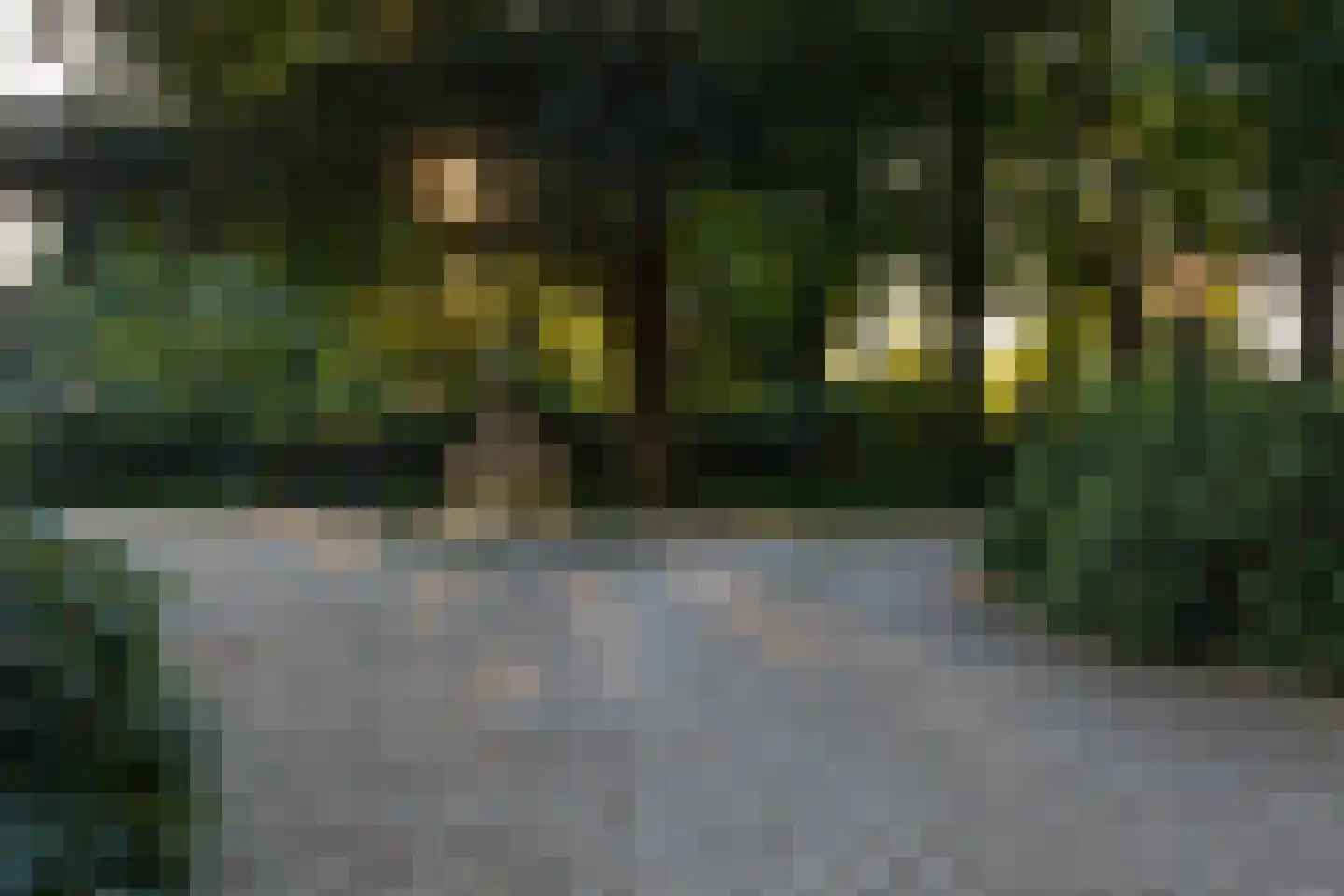 Scheggertdijk 47 Almen thumbnail 71