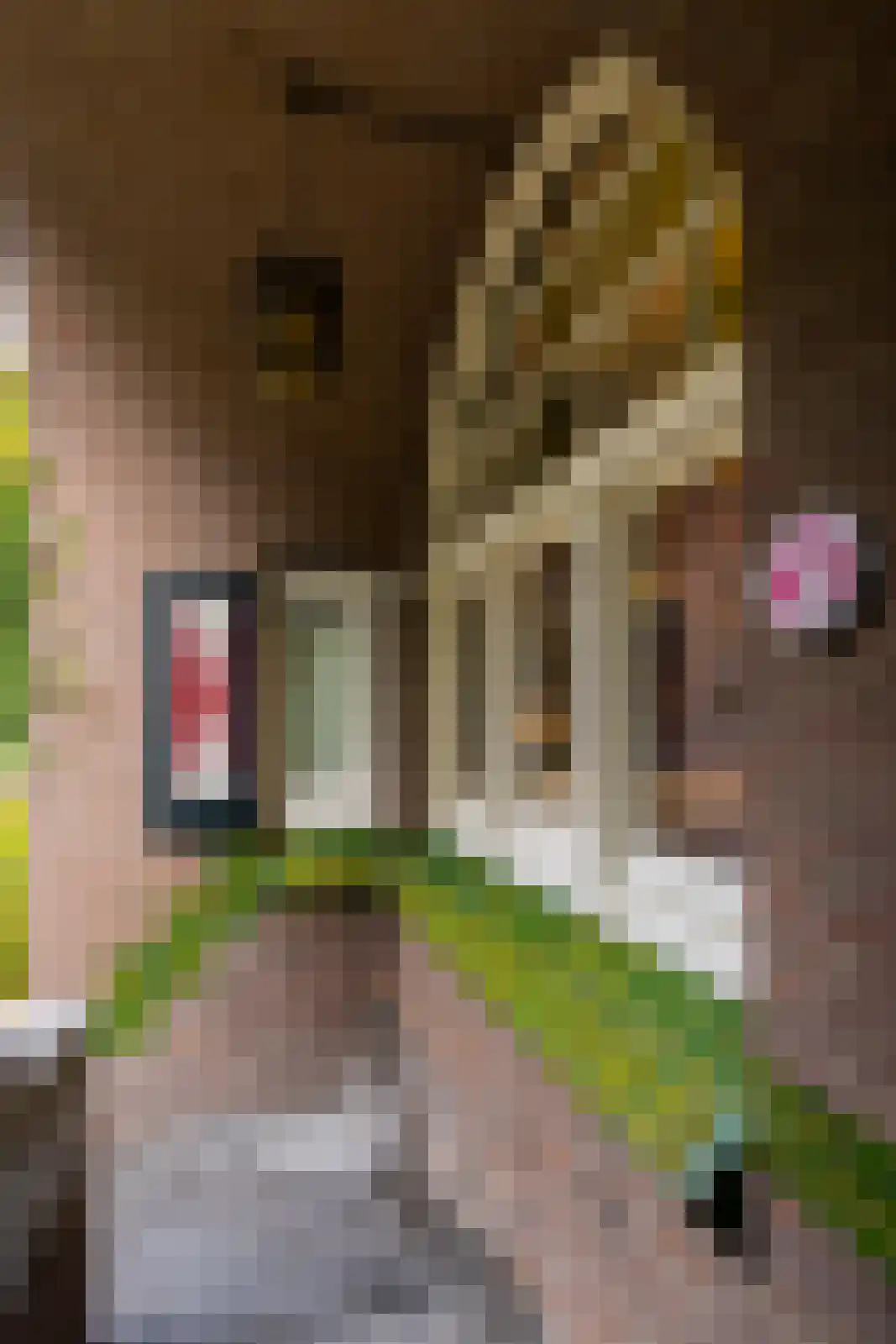 Scheggertdijk 47 Almen thumbnail 73