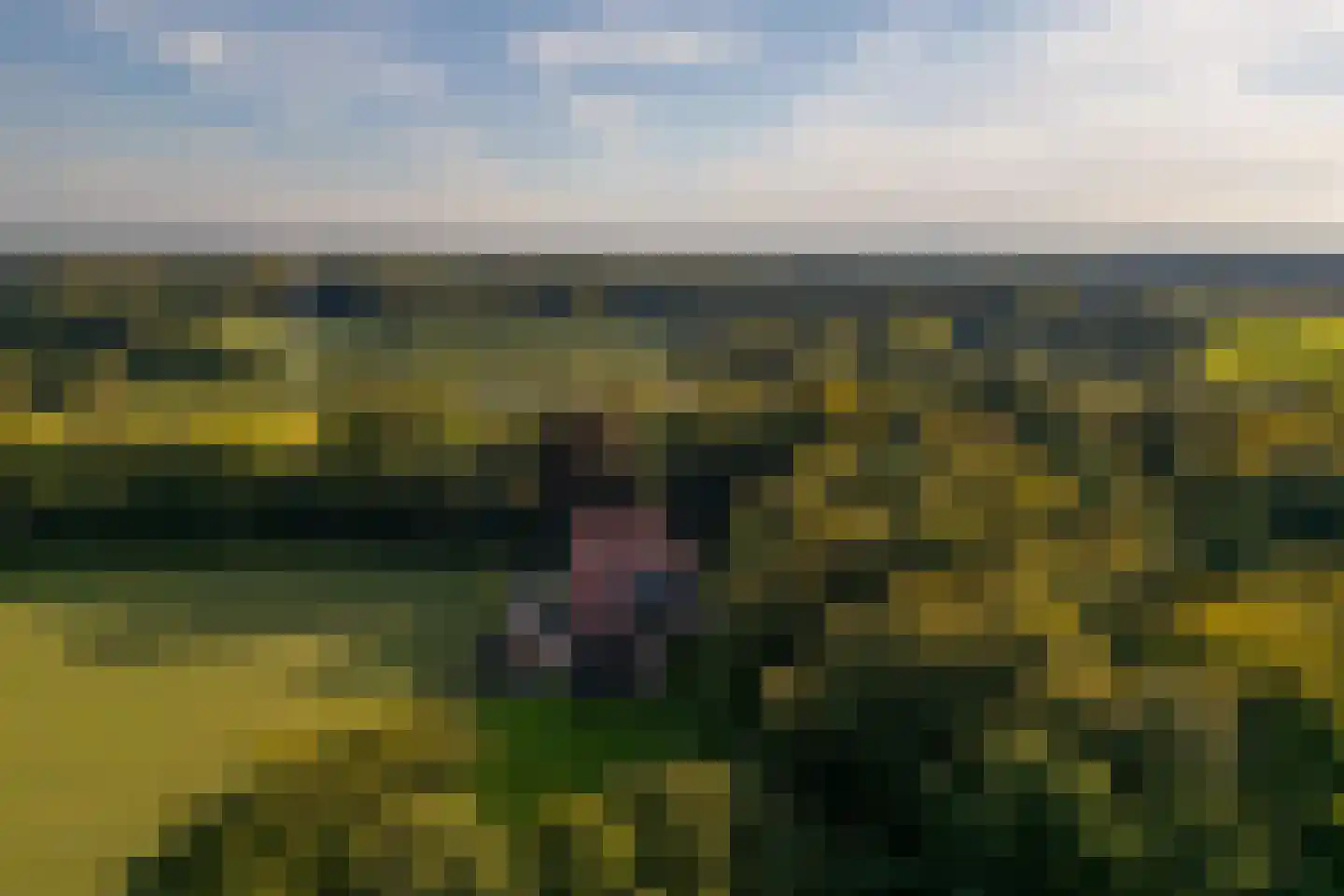 Scheggertdijk 47 Almen thumbnail 74