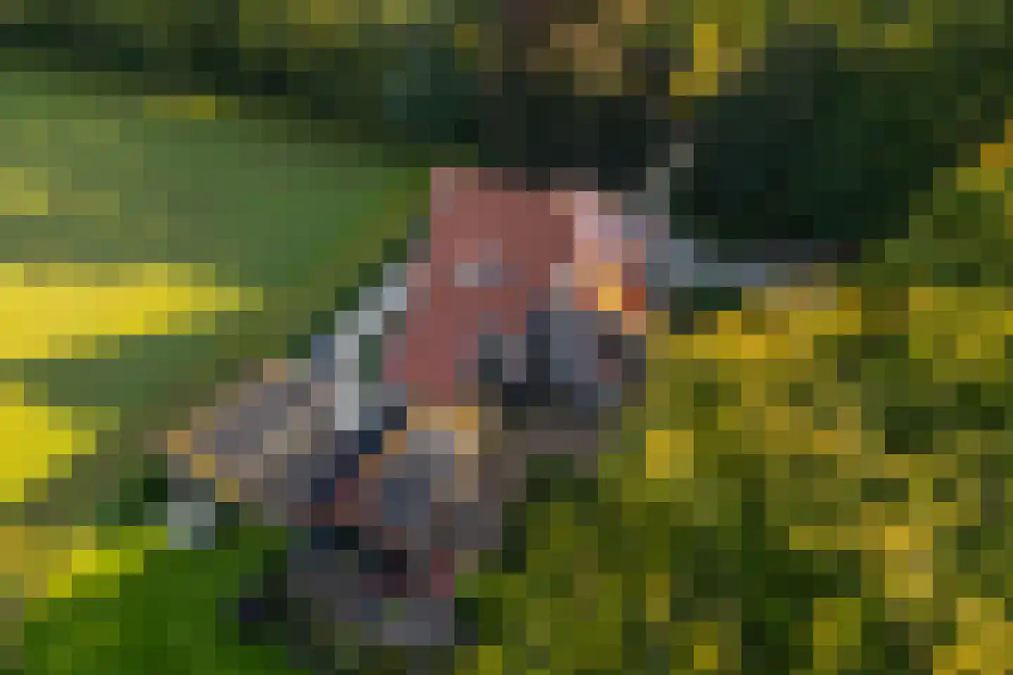 Scheggertdijk 47 Almen thumbnail 75
