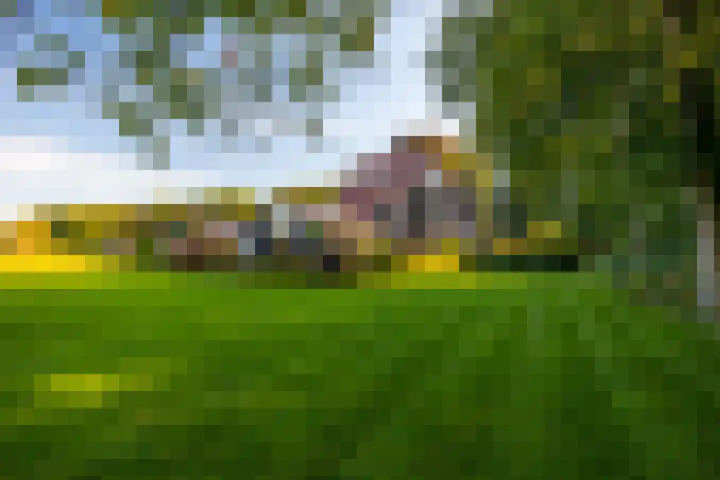 Scheggertdijk 47 Almen thumbnail 76