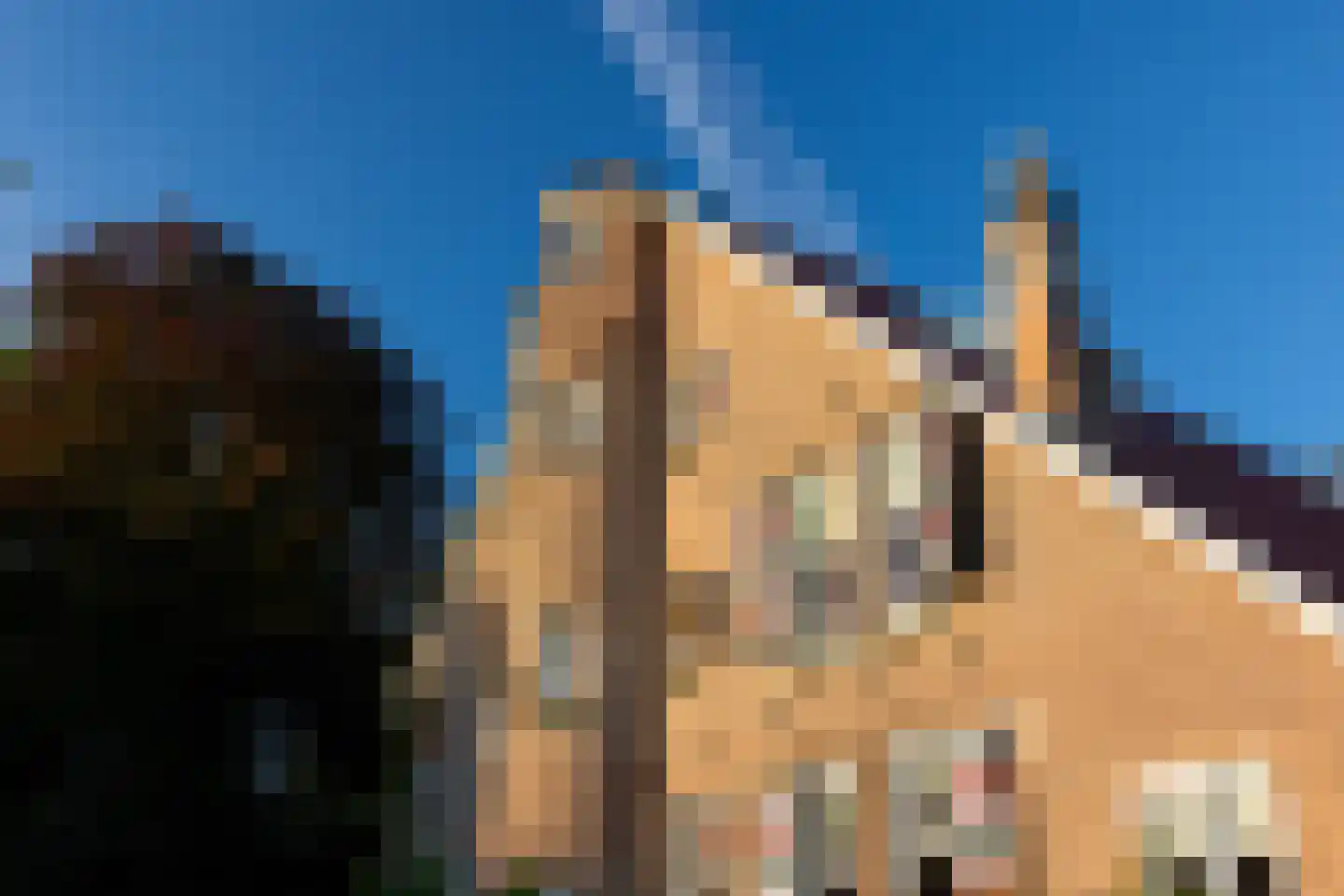 Scheggertdijk 47 Almen thumbnail 78