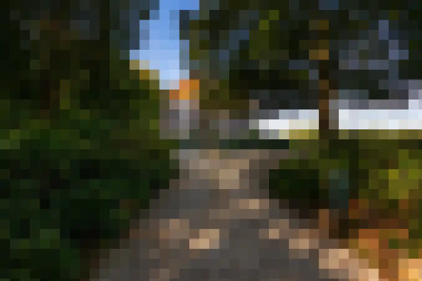Scheggertdijk 47 Almen thumbnail 79