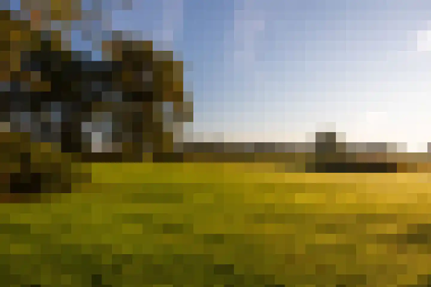 Scheggertdijk 47 Almen thumbnail 81