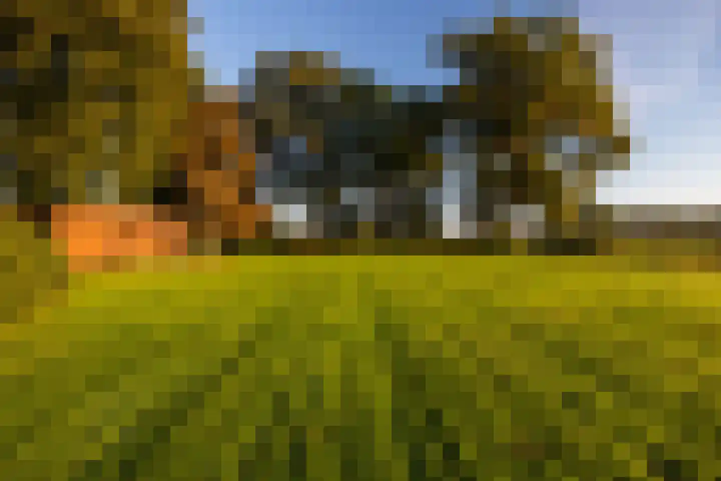 Scheggertdijk 47 Almen thumbnail 82