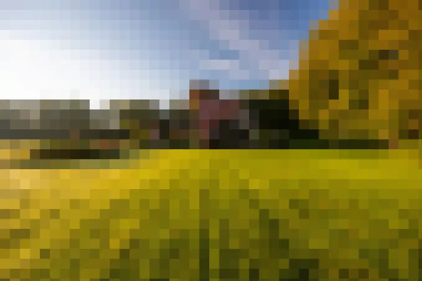 Scheggertdijk 47 Almen thumbnail 83