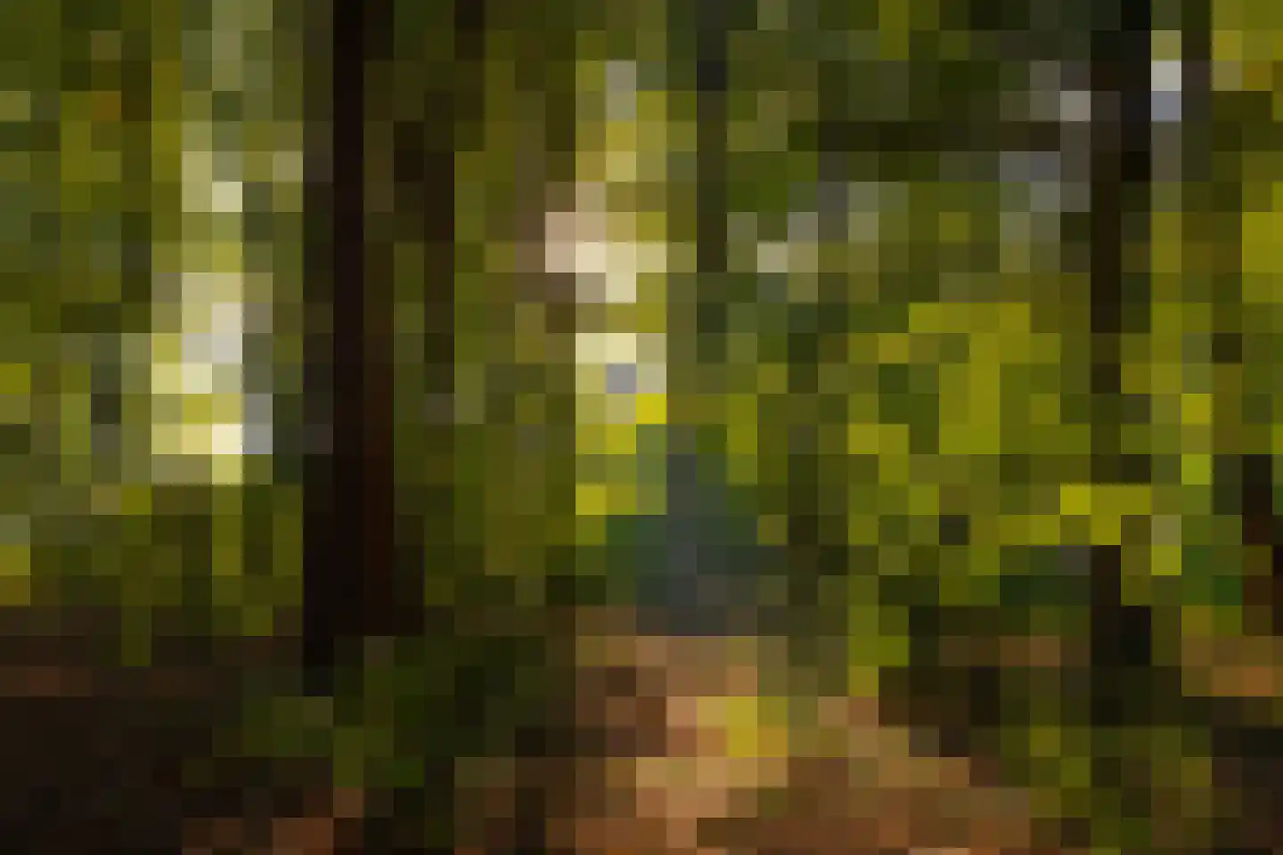 Scheggertdijk 47 Almen thumbnail 84