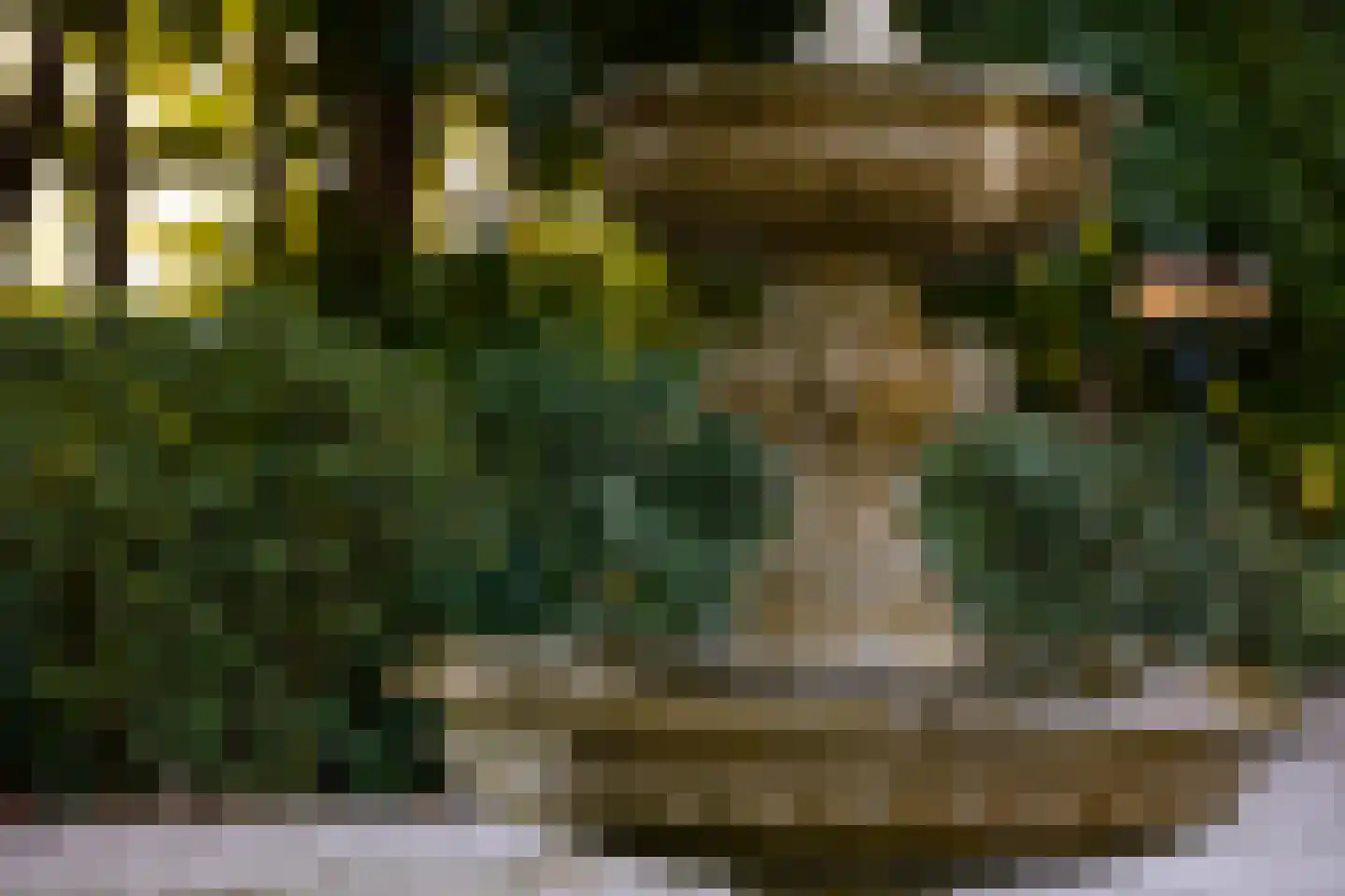 Scheggertdijk 47 Almen thumbnail 85