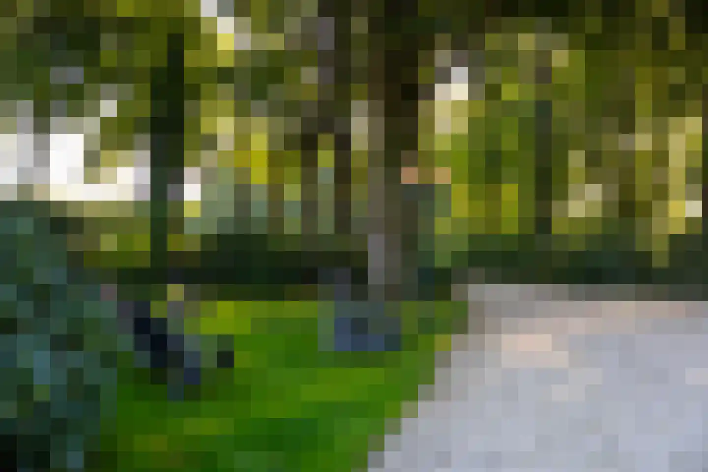 Scheggertdijk 47 Almen thumbnail 86