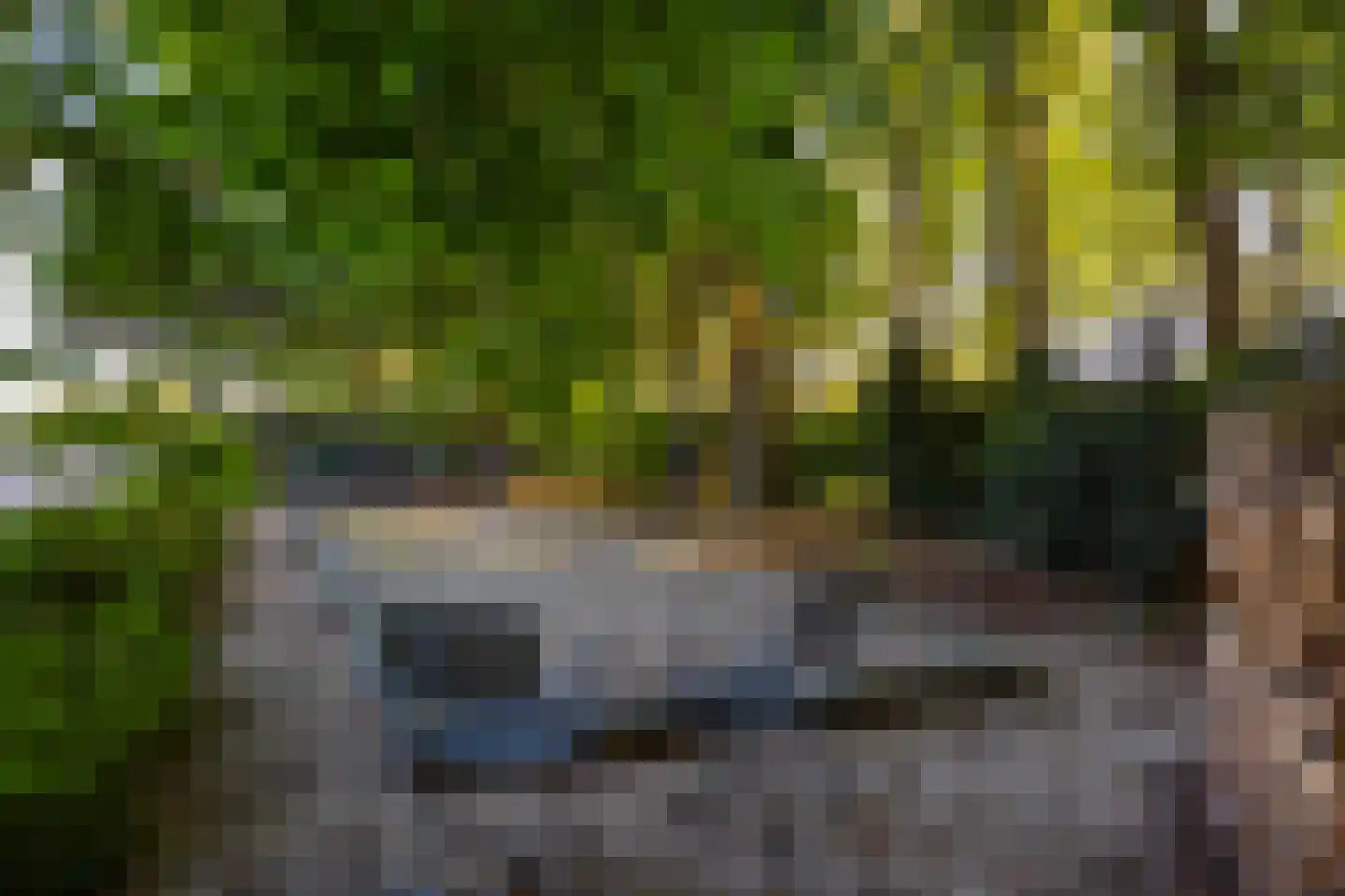 Scheggertdijk 47 Almen thumbnail 87