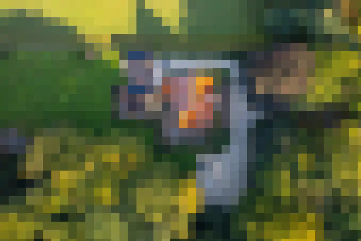 Scheggertdijk 47 Almen thumbnail 88