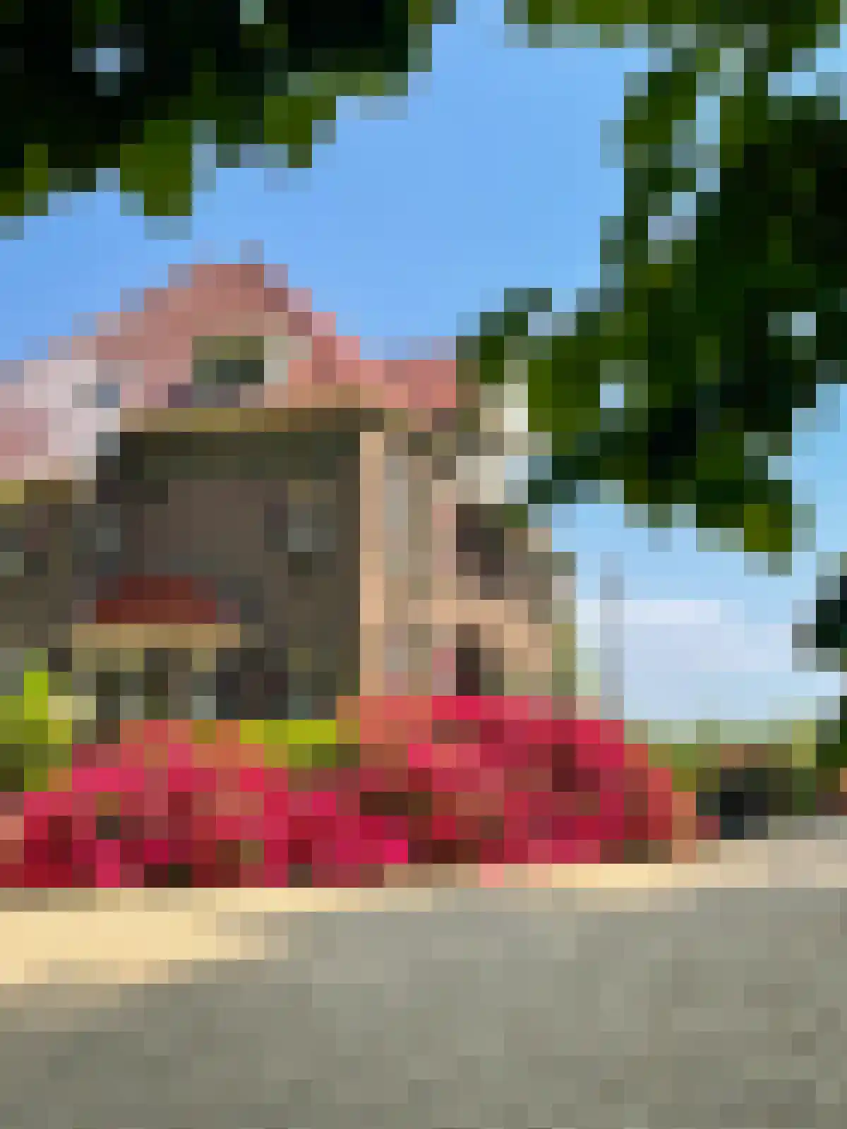 Scheggertdijk 47 Almen thumbnail 90