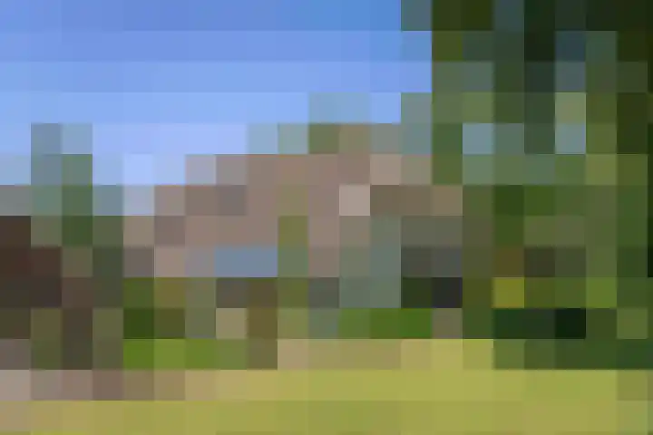 Scheggertdijk 84 Almen thumbnail 10