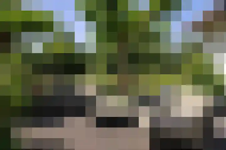 Scheggertdijk 84 Almen thumbnail 12