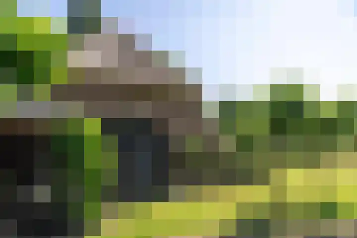 Scheggertdijk 84 Almen thumbnail 16