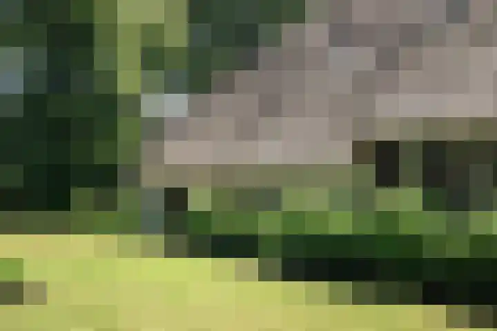 Scheggertdijk 84 Almen thumbnail 19