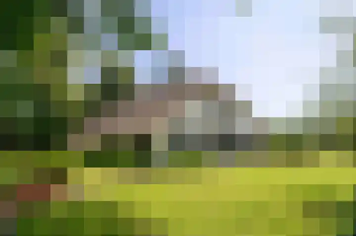Scheggertdijk 84 Almen thumbnail 20
