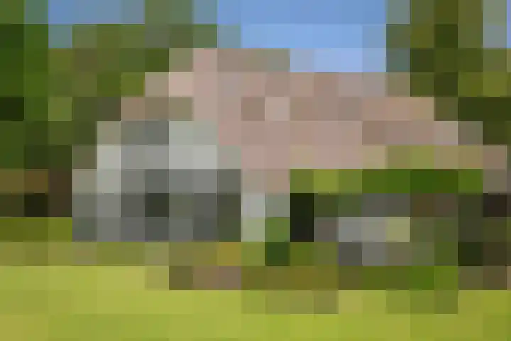 Scheggertdijk 84 Almen thumbnail 21