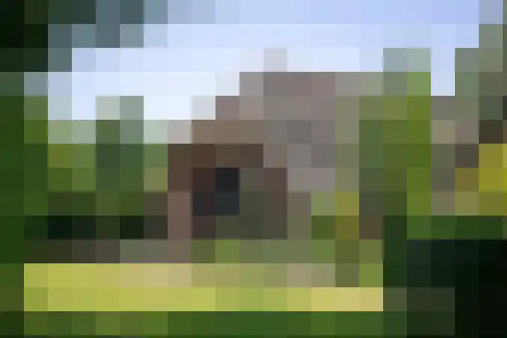 Scheggertdijk 84 Almen thumbnail 22
