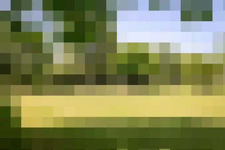 Scheggertdijk 84 Almen thumbnail 23