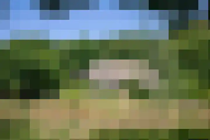 Scheggertdijk 84 Almen thumbnail 25