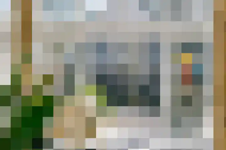 Scheggertdijk 84 Almen thumbnail 31